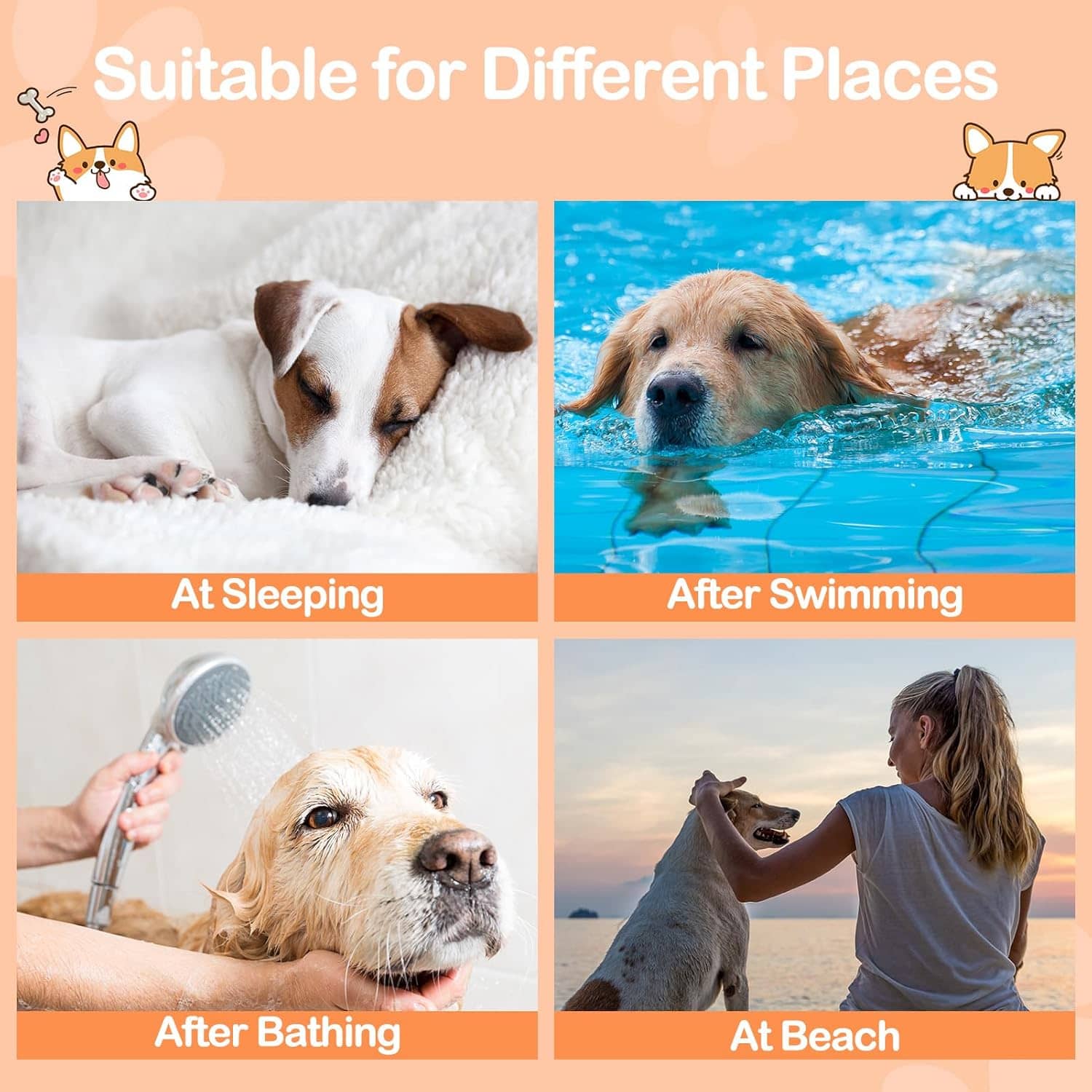 Bienbee Dog Bathrobe – Super Absorbent & Quick-Drying Towel for Dogs